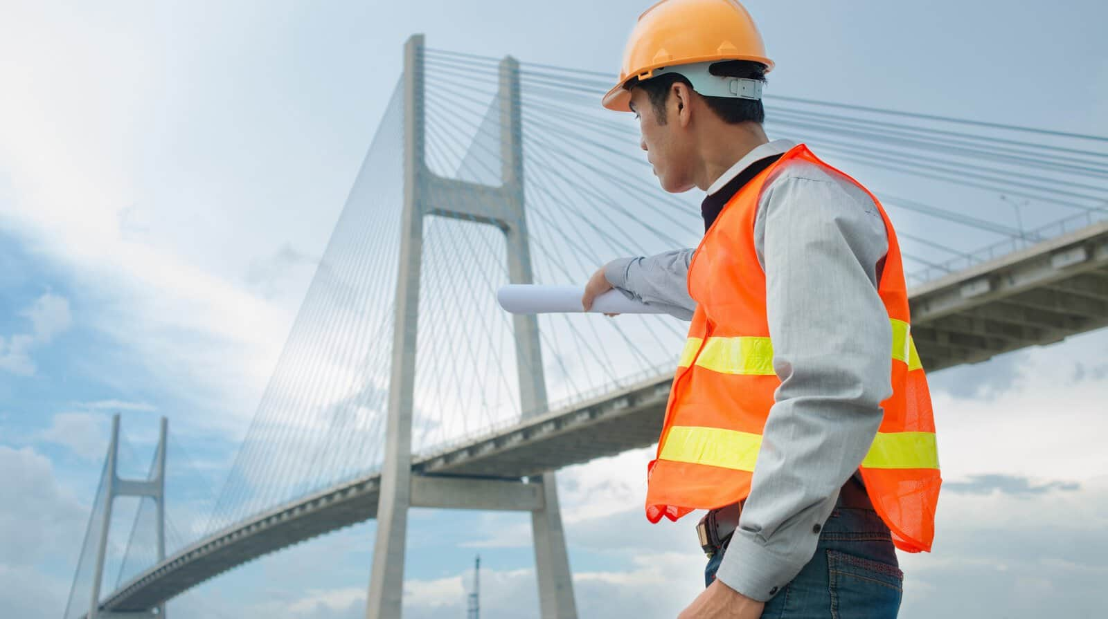 Bridge Assessment