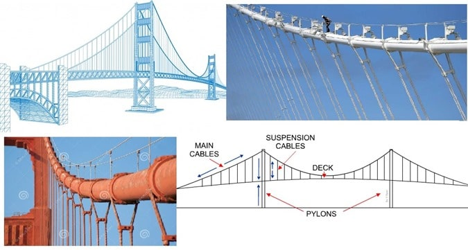 Cable Stay Survey